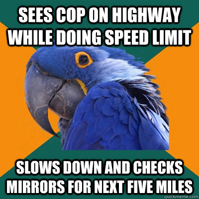 sees cop on highway while doing speed limit slows down and checks mirrors for next five miles  Paranoid Parrot