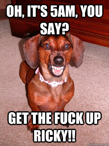 Oh, it's 5AM, you say? Get the FUCK UP Ricky!!  