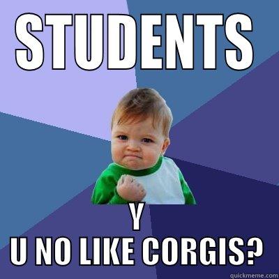 STUDENTS Y U NO LIKE CORGIS? Success Kid