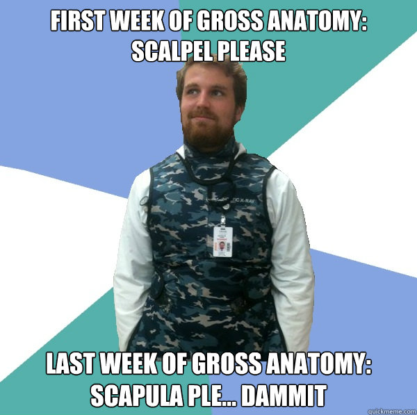 First week of Gross anatomy: scalpel please Last week of gross anatomy: scapula ple... DAMMIT  