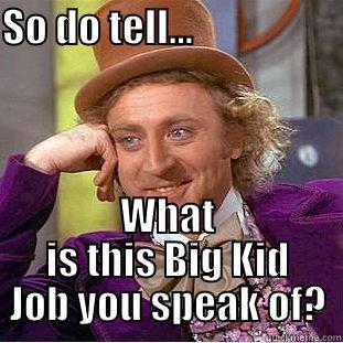SO DO TELL...                                                                         WHAT IS THIS BIG KID JOB YOU SPEAK OF? Condescending Wonka