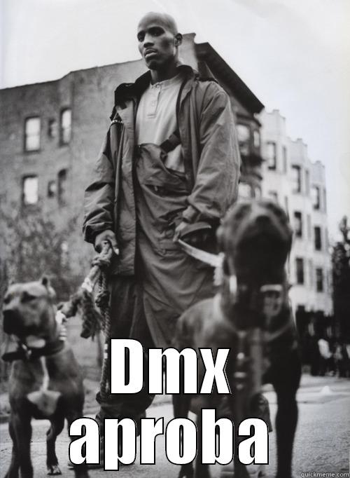 DMX APROBA Misc