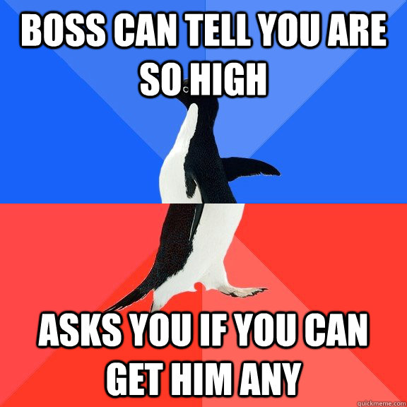 Boss can tell you are so high Asks you if you can get him any  Socially Awkward Awesome Penguin