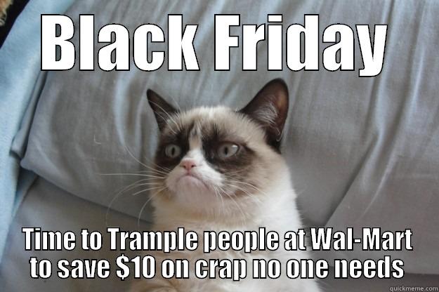 BLACK FRIDAY TIME TO TRAMPLE PEOPLE AT WAL-MART TO SAVE $10 ON CRAP NO ONE NEEDS Grumpy Cat