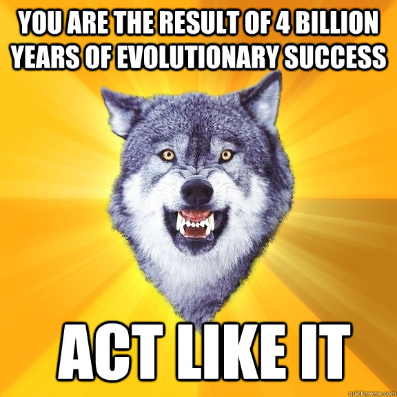 you are the result of 4 billion years of evolutionary success  act like it  Courage Wolf