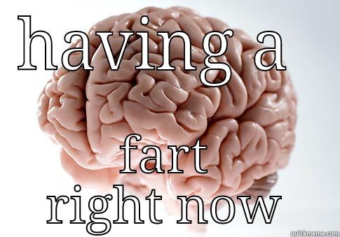 HAVING A  FART RIGHT NOW Scumbag Brain