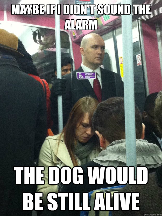 Maybe if i didn't sound the alarm The dog would be still alive Bad