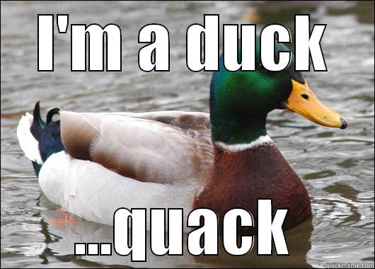 I'M A DUCK ...QUACK Actual Advice Mallard