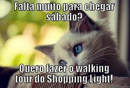 FALTA MUITO PARA CHEGAR SÁBADO? QUERO FAZER O WALKING TOUR DO SHOPPING LIGHT! First World Problems Cat