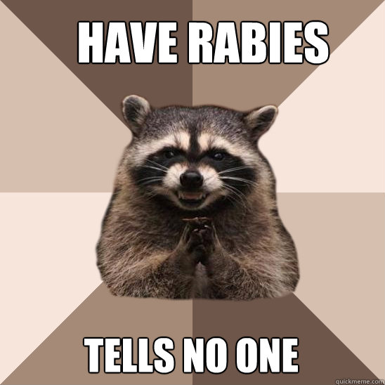 Have Rabies  Tells no one - Have Rabies  Tells no one  Evil Plotting Raccoon