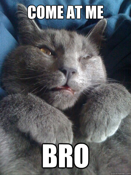 COME AT ME BRO  Fighter cat