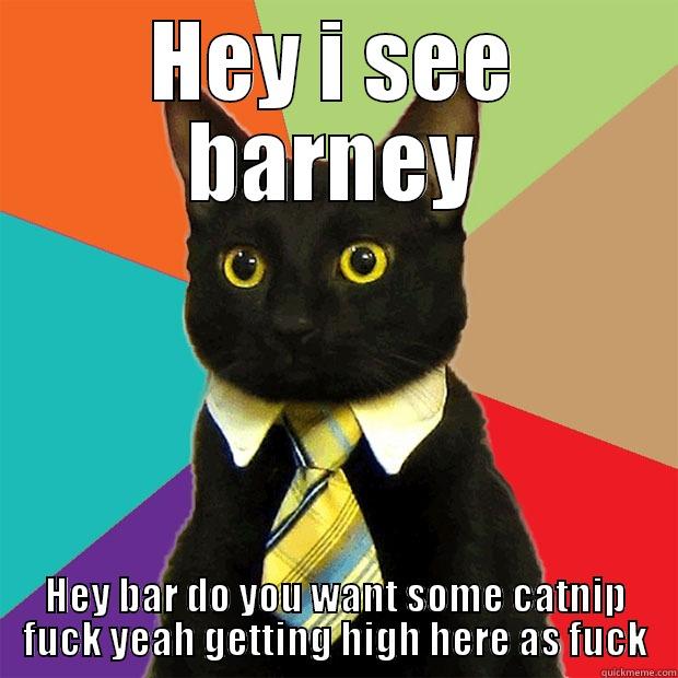 HEY I SEE BARNEY HEY BAR DO YOU WANT SOME CATNIP FUCK YEAH GETTING HIGH HERE AS FUCK Business Cat