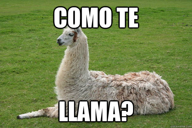 como te llama? - como te llama?  Subversive llama