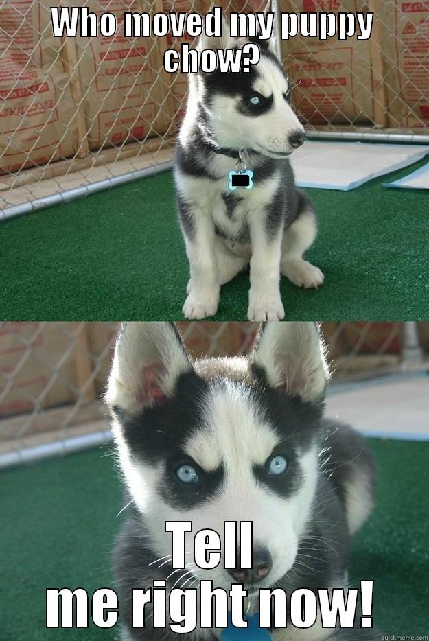 WHO MOVED MY PUPPY CHOW? TELL ME RIGHT NOW! Insanity puppy