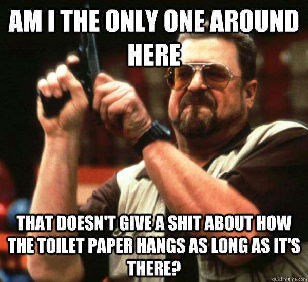 Am i the only one around here That doesn't give a shit about how the toilet paper hangs as long as it's there?  Am I the only one backing France