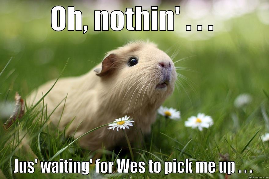 OH, NOTHIN' . . . JUS' WAITING' FOR WES TO PICK ME UP . . . Misc