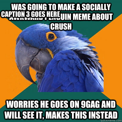 Was going to make a Socially awkward penguin meme about crush Worries he goes on 9gag and will see it, makes this instead Caption 3 goes here  Paranoid Parrot