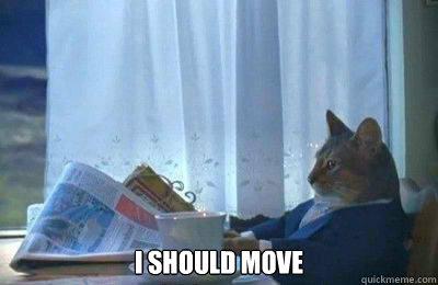  I should move  I should buy a bike