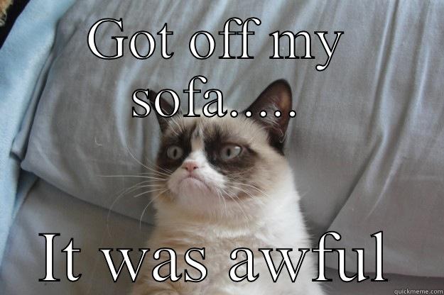GOT OFF MY SOFA..... IT WAS AWFUL Grumpy Cat