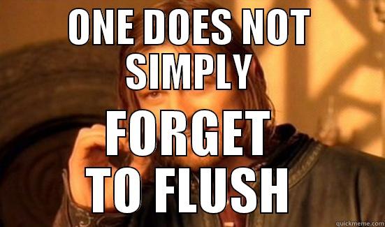 ONE DOES NOT SIMPLY FORGET TO FLUSH Boromir