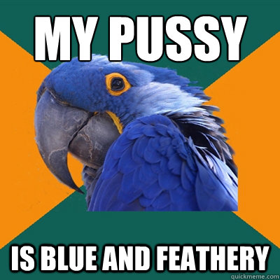 MY PUSSY IS BLUE AND FEATHERY  Paranoid Parrot
