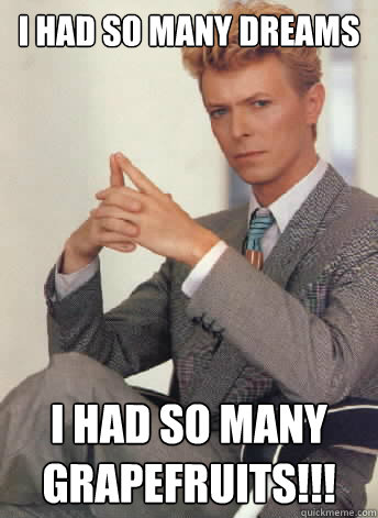 I had so many dreams I had so many grapefruits!!! - I had so many dreams I had so many grapefruits!!!  David Bowie