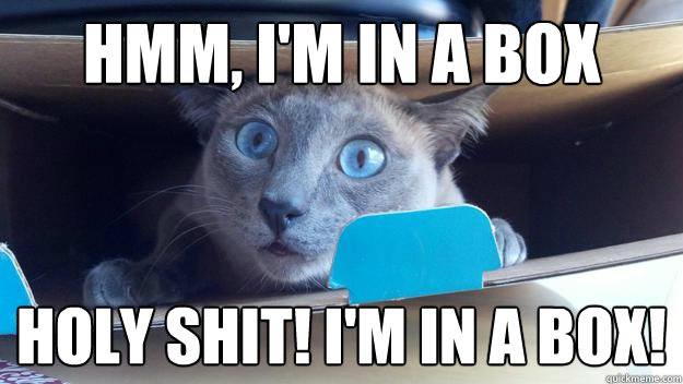 Hmm, i'm in a box holy shit! i'm in a box!  