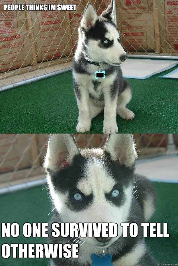 people thinks im sweet no one survived to tell otherwise   Insanity puppy