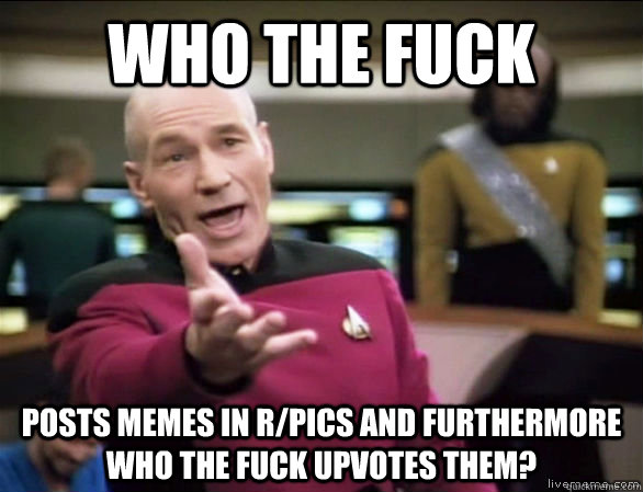 Who the fuck Posts memes in r/pics and furthermore who the fuck upvotes them?  Annoyed Picard HD