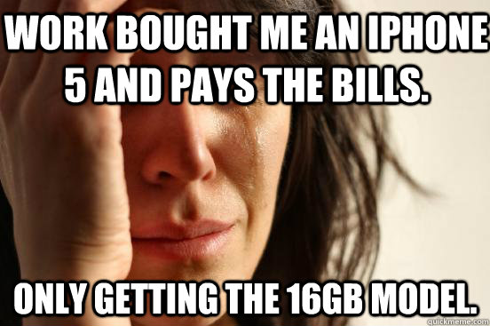 Work bought me an iphone 5 and pays the bills. Only getting the 16GB model.  First World Problems