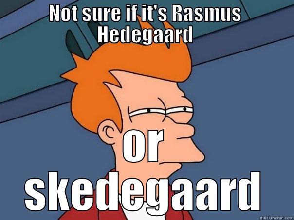 NOT SURE IF IT'S RASMUS HEDEGAARD OR SKEDEGAARD Futurama Fry