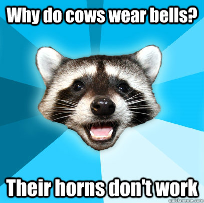 Why do cows wear bells? Their horns don't work  Lame Pun Coon