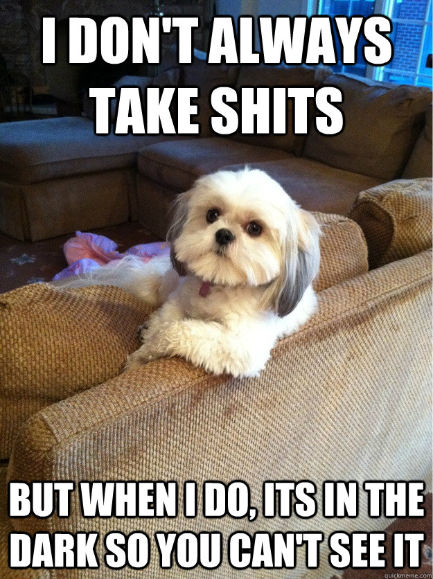 I Don't Always take shits but when I do, its in the dark so you can't see it  - I Don't Always take shits but when I do, its in the dark so you can't see it   Misc