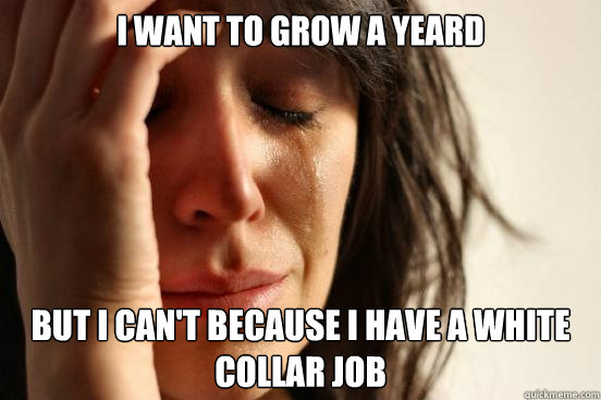 i want to grow a yeard but i can't because i have a white collar job - i want to grow a yeard but i can't because i have a white collar job  First World Problems