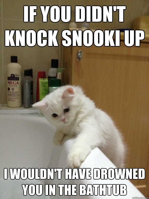 If you didn't knock snooki up I wouldn't have drowned you in the bathtub - If you didn't knock snooki up I wouldn't have drowned you in the bathtub  Evil Hindsight Cat