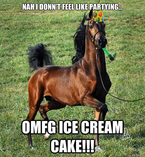 Nah I donn't feel like partying... OMFG ICE CREAM CAKE!!! - Nah I donn't feel like partying... OMFG ICE CREAM CAKE!!!  Party Horse