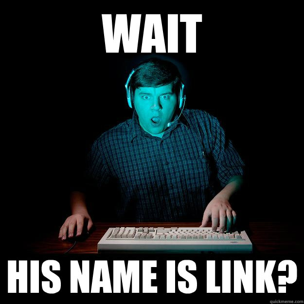 WAIT HIS NAME IS LINK?  
