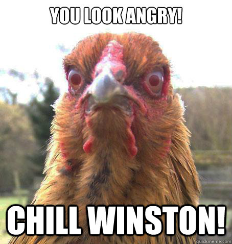 YOU LOOK ANGRY! CHILL WINSTON!  RageChicken
