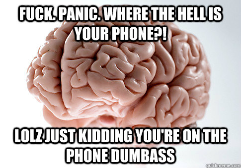 FUCK. PANIC. WHERE THE HELL IS YOUR PHONE?! LOLZ JUST KIDDING YOU'RE ON THE PHONE DUMBASS  Scumbag Brain
