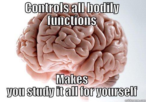 CONTROLS ALL BODILY FUNCTIONS MAKES YOU STUDY IT ALL FOR YOURSELF Scumbag Brain