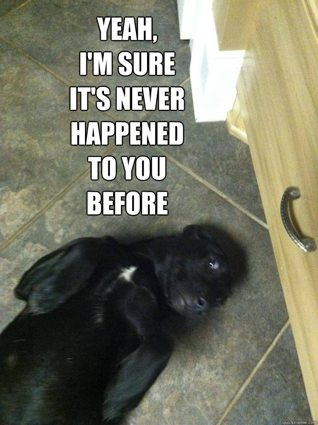 Yeah,
I'm sure
It's never
happened
to you
before - Yeah,
I'm sure
It's never
happened
to you
before  Misc