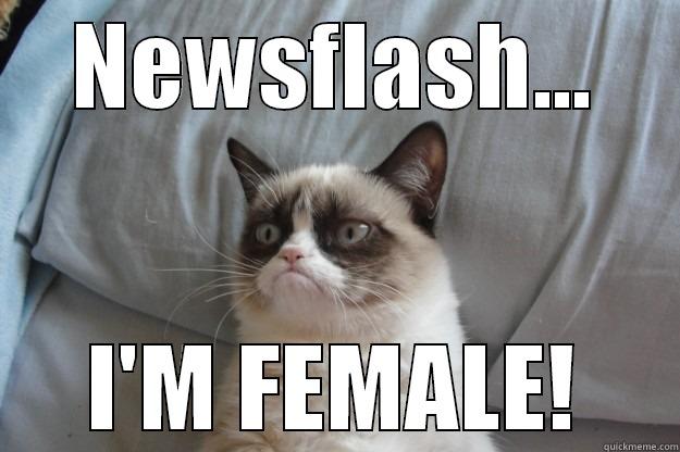 NEWSFLASH... I'M FEMALE! Grumpy Cat