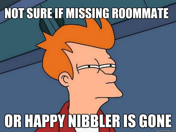 Not sure if missing roommate Or happy nibbler is gone  Futurama Fry