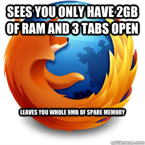 Sees you only have 2GB of RAM and 3 tabs open leaves you whole 9MB of spare memory  Good Guy Firefox