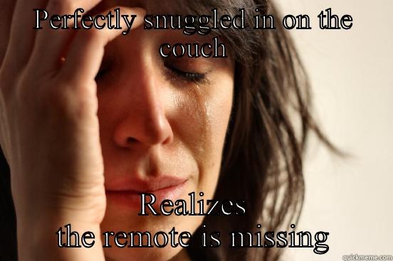 PERFECTLY SNUGGLED IN ON THE COUCH REALIZES THE REMOTE IS MISSING First World Problems