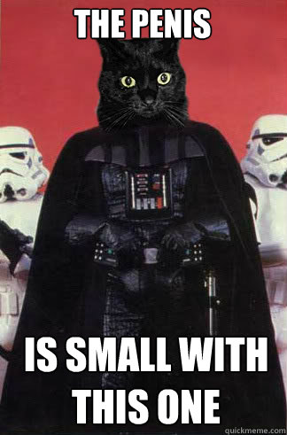 the penis  is small with this one  - the penis  is small with this one   Darth Vader Cat
