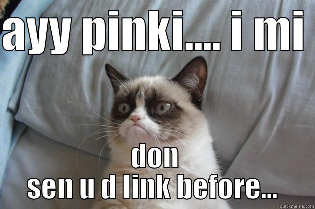 AYY PINKI.... I MI  DON SEN U D LINK BEFORE...  Grumpy Cat