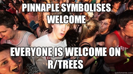 Pinnaple symbolises welcome Everyone is welcome on r/trees  Sudden Clarity Clarence