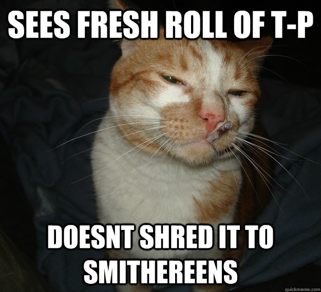 sees fresh roll of t-p doesnt shred it to smithereens   Cool Cat Craig