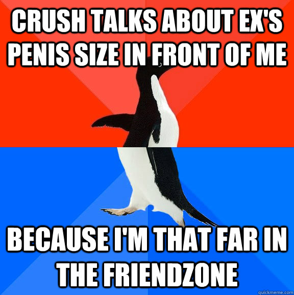 Crush talks about Ex's Penis size in front of me Because I'm that far in the friendzone  Socially Awesome Awkward Penguin